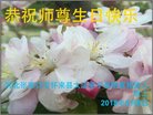 ֹ,żҿڴ󷨵ӹ編ִʦ𻪵(22)