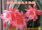 ֹ,󷨵ӹ編ִʦ𻪵(19)