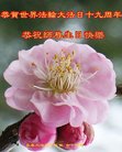 ֹ,󷨵ӹ編ִʦ𻪵(19)