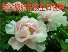 ֹ,󷨵ӹ編ִʦ𻪵(32)