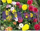 ֹ,󷨵ӹ編ִʦ𻪵(32)