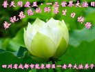 ֹ,ɶ󷨵ӹ編ִʦ𻪵(20)