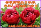 ֹ,󷨵ӹ編ִʦ𻪵(19)