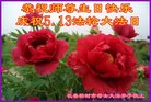 ֹ,󷨵ӹ編ִʦ𻪵(19)