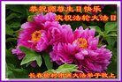 ֹ,󷨵ӹ編ִʦ𻪵(19)