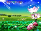 ֹ,󷨵ӹ編ִʦ𻪵(18)