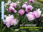 ֹ,󷨵ӹ編ִʦ𻪵(18)