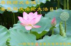 ֹ,󷨵ӹ編ִʦ𻪵(24)