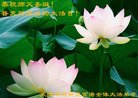 ֹ,󷨵ӹ編ִʦ𻪵(24)