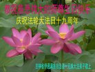 ֹ,ʡ󷨵ӹ編ִʦ𻪵(24)