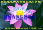 ֹ,ʴ󷨵ӹ編ִʦ𻪵(25)