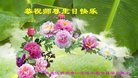 ֹ,󷨵ӹ編ִʦ𻪵(20)