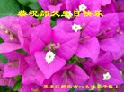 ֹ,󷨵ӹ編ִʦ𻪵(19)