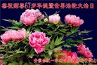 ֹ,մ󷨵ӹ編ִʦ𻪵(28)