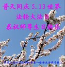 法轮功,哈尔滨大法弟子恭贺世界法轮大法日暨师尊华诞(18条)
