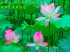 ֹ,ɹŴ󷨵ӹ編ִʦ𻪵(23)