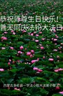 ֹ,ɹŴ󷨵ӹ編ִʦ𻪵(23)