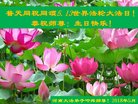 ֹ,֣ݴ󷨵ӹ編ִʦ𻪵(28)