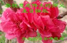 ֹ,󷨵ӹ編ִʦ𻪵(25)