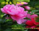 ֹ,󷨵ӹ編ִʦ𻪵(22)
