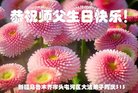 ֹ,½󷨵ӹ編ִʦ𻪵(20)