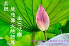 ֹ,½󷨵ӹ編ִʦ𻪵(20)