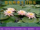 ֹ,ൺ󷨵ӹ編ִʦ𻪵(24)