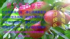 ֹ,󷨵ӹ編ִʦ𻪵(22)