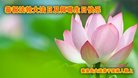 ֹ,ػʵ󷨵ӹ編ִʦ𻪵(26)