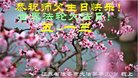 ֹ,մ󷨵ӹ編ִʦ𻪵(21)