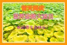 ֹ,󷨵ӹ編ִʦ𻪵(24)