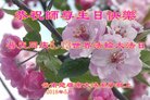 法轮功,云南大法弟子恭贺世界法轮大法日暨师尊华诞(21条)