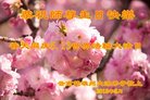 ֹ,ϴ󷨵ӹ編ִʦ𻪵(21)