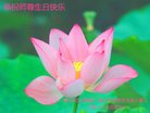 法轮功,重庆大法弟子恭贺世界法轮大法日暨师尊华诞(30条)