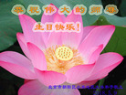 ֹ,ϴ󷨵ӹ編ִʦ𻪵(28)