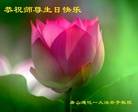 ֹ,ɽ󷨵ӹ編ִʦ𻪵(31)