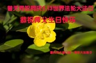 ֹ,󷨵ӹ編ִʦ𻪵(23)