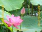 ֹ,ϴ󷨵ӹ編ִʦ𻪵(28)