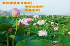 ֹ,Ϋ󷨵ӹ編ִʦ𻪵(29)