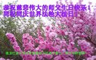 ֹ,󷨵ӹ編ִʦ𻪵(23)