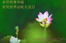 法轮功,河南大法弟子恭贺世界法轮大法日暨师尊华诞(28条)