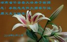 ֹ,ϴ󷨵ӹ編ִʦ𻪵(28)
