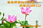 ֹ,󷨵ӹ編ִʦ𻪵(22)