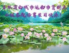 ֹ,ʡ󷨵ӹ編ִʦ𻪵(26)