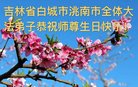 ֹ,ʡ󷨵ӹ編ִʦ𻪵(26)