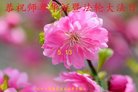 ֹ,󷨵ӹ編ִʦ𻪵(23)