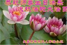ֹ,󷨵ӹ編ִʦ𻪵(22)