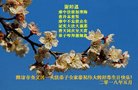 ֹ,Ϋ󷨵ӹ編ִʦ𻪵(24)