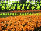 ֹ,ɶ󷨵ӹ編ִʦ𻪵(29)