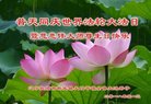 ֹ,ʡ󷨵ӹ編ִʦ𻪵(26)